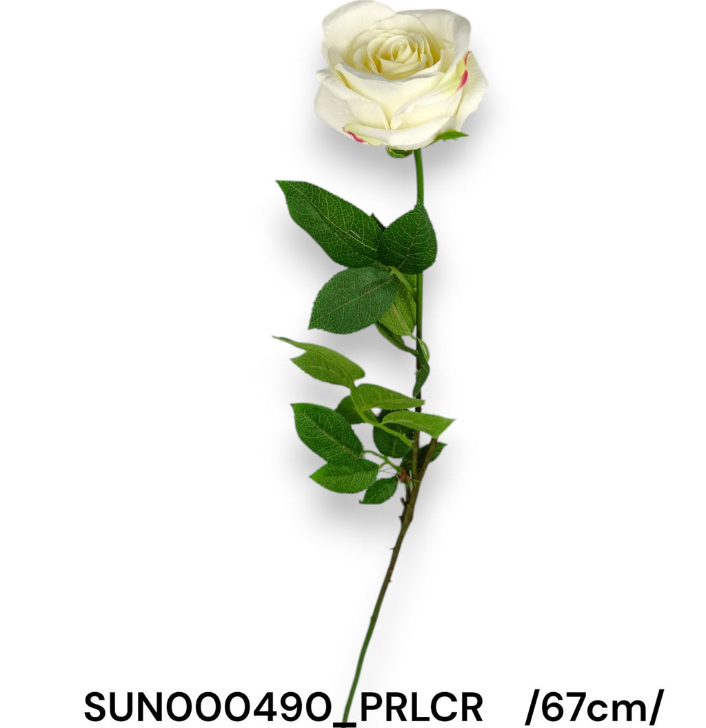 SUN000490_PRLCR
