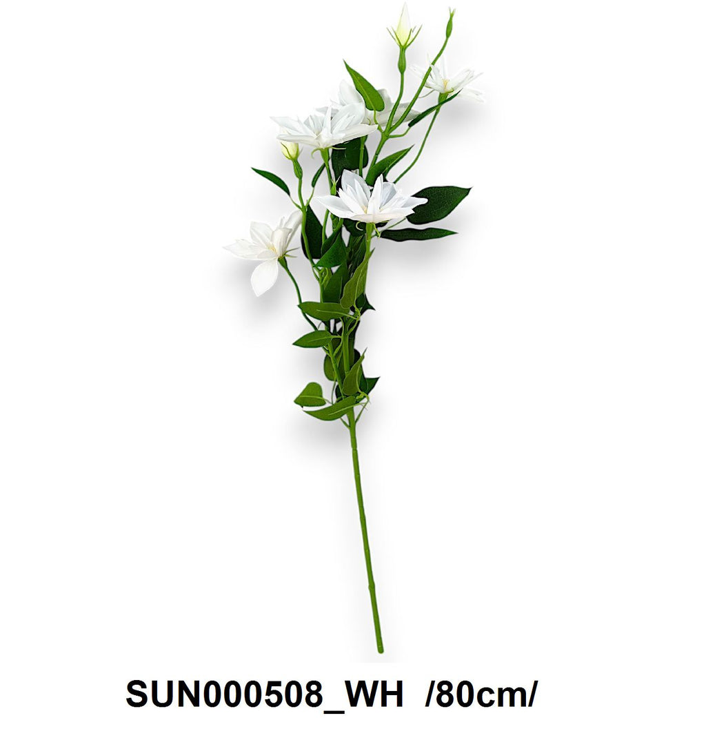 SUN000508_WH
