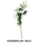 SUN000508_WH