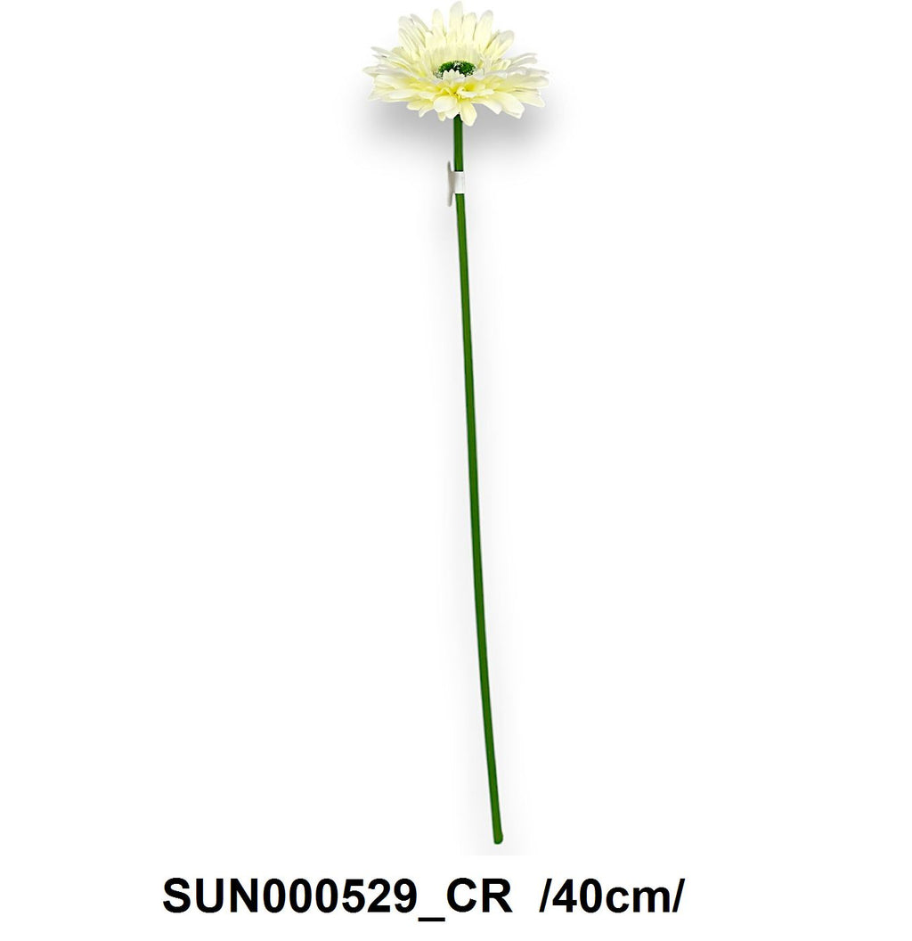 SUN000529_CR