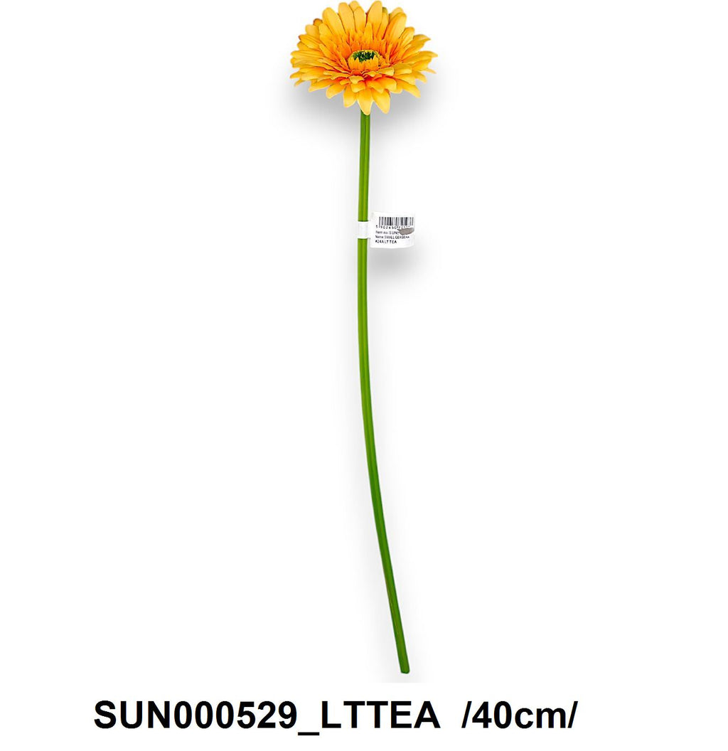 SUN000529_LTTEA