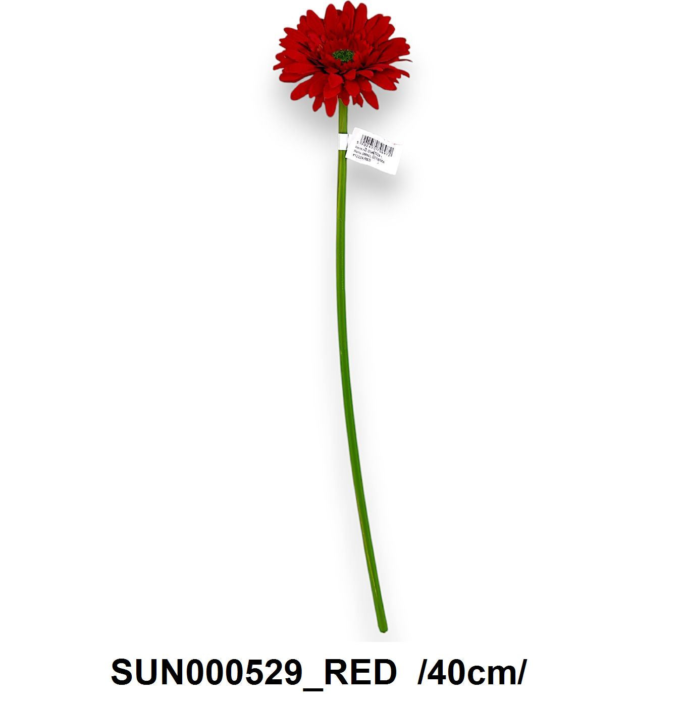 SUN000529_RED