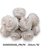 SUN000546_PRLPK