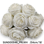 SUN000546_PRLWH