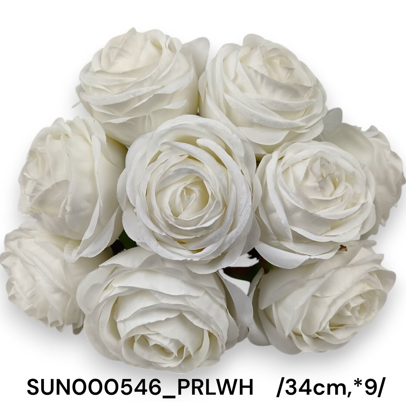 SUN000546_PRLWH