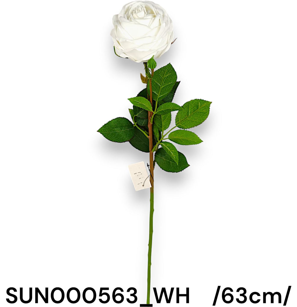SUN000563_WH