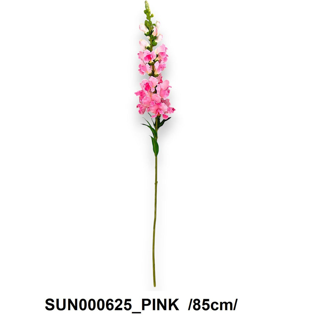 SUN000625_PINK