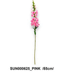 SUN000625_PINK