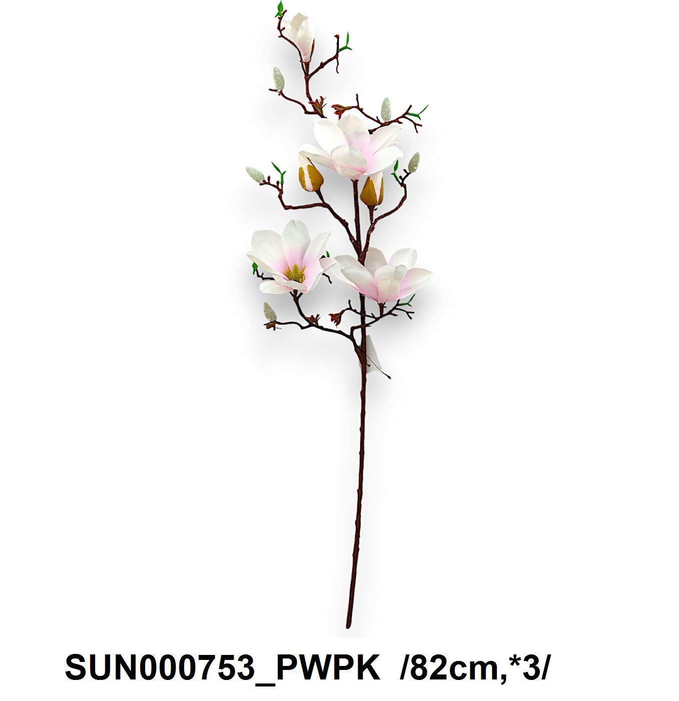 SUN000753_PWPK