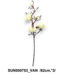 SUN000753_VAN