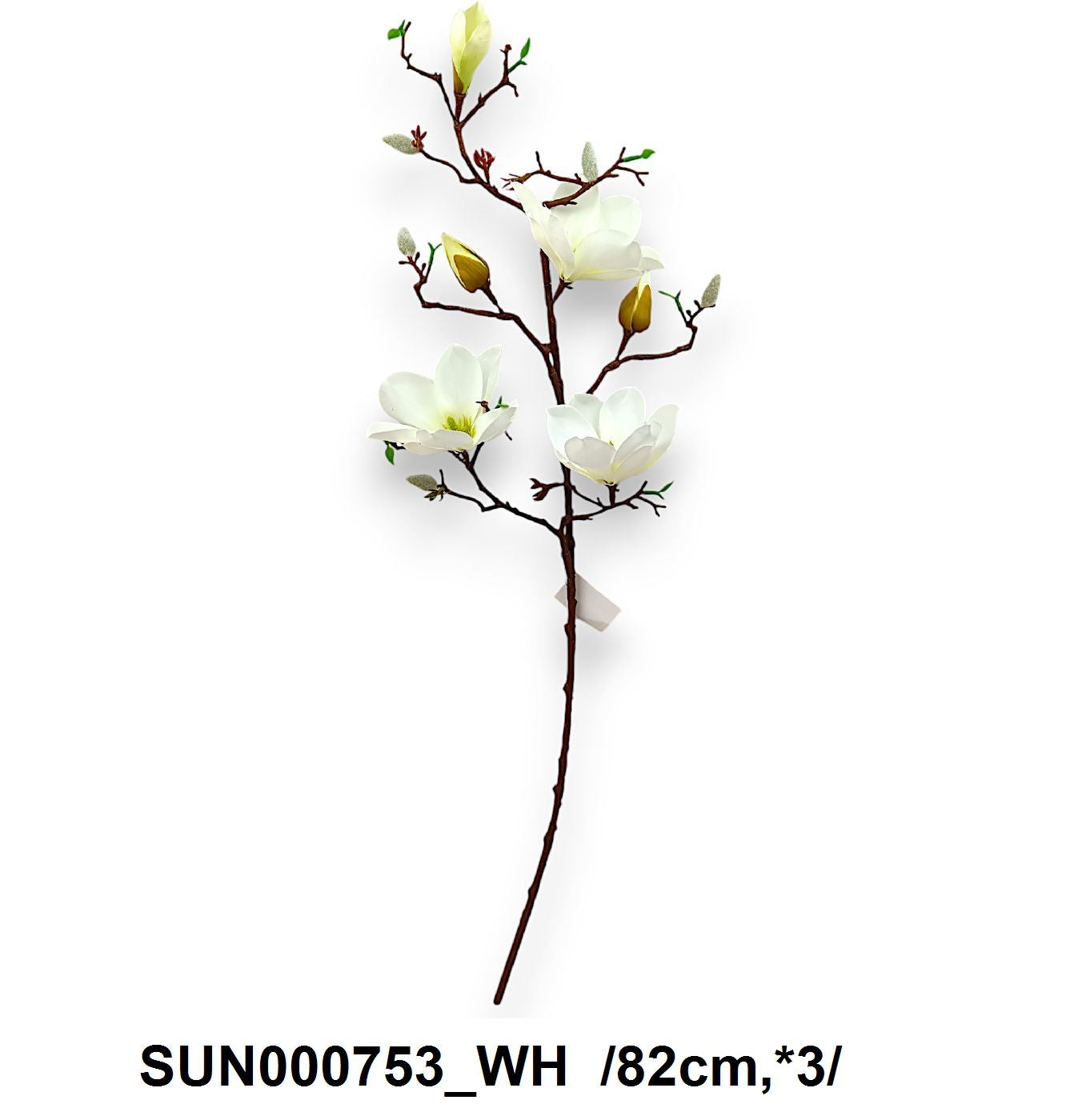 SUN000753_WH