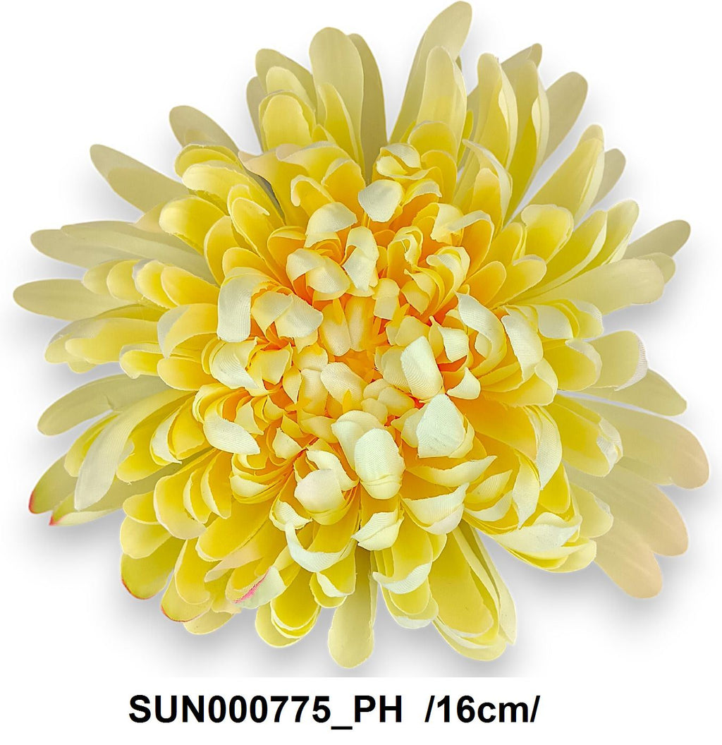 SUN000775_PH