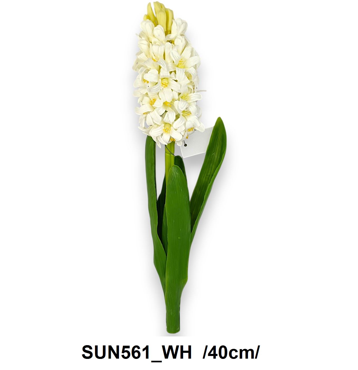 Szálas jácint /40cm/ Másodlagos kép