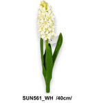 SUN561_WH