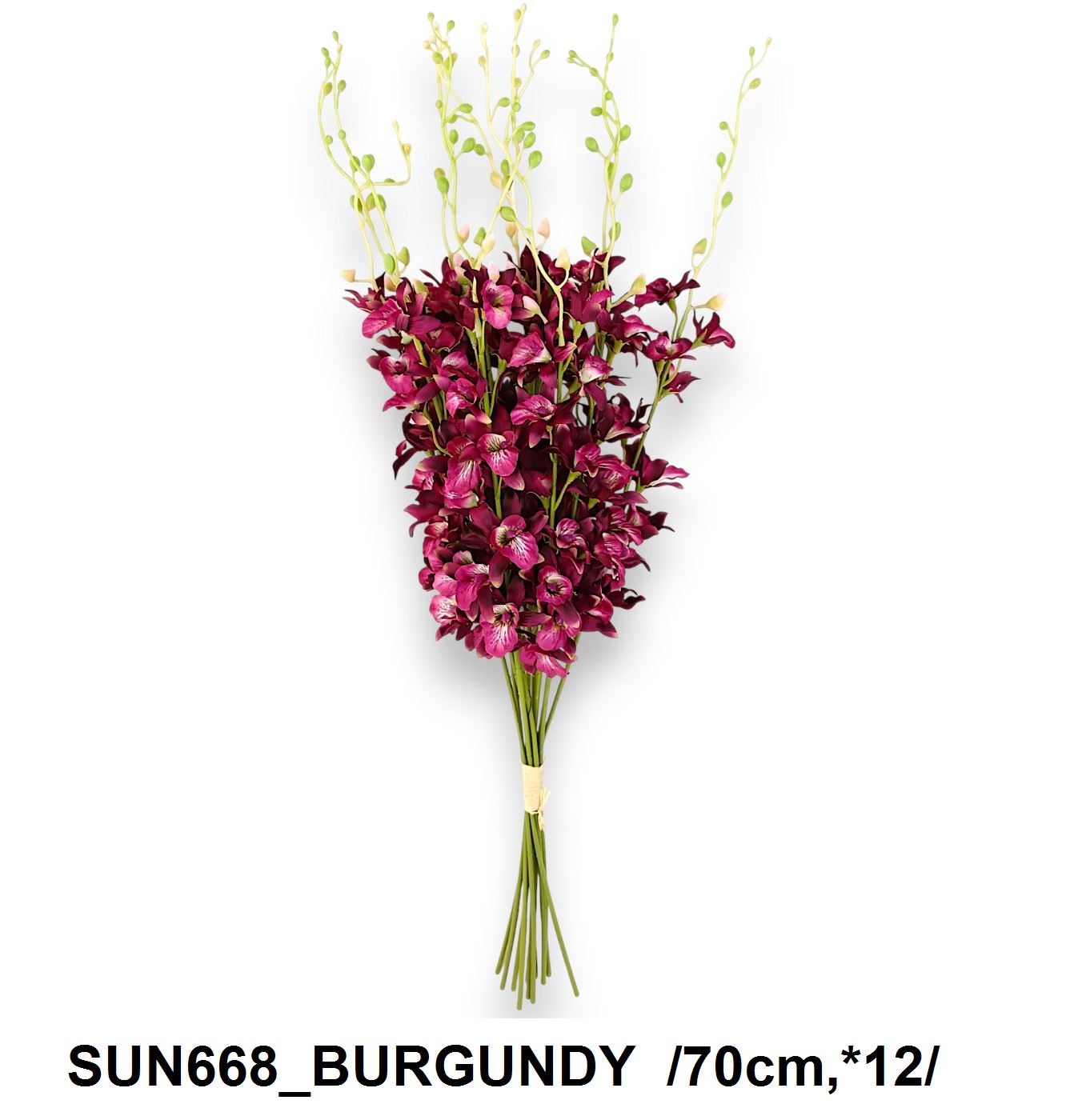 SUN668_BURGUNDY