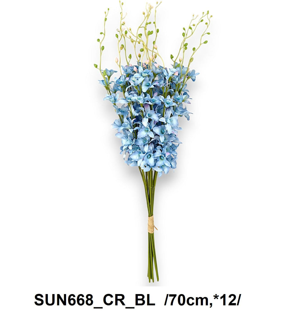 SUN668_CR_BL