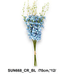 SUN668_CR_BL