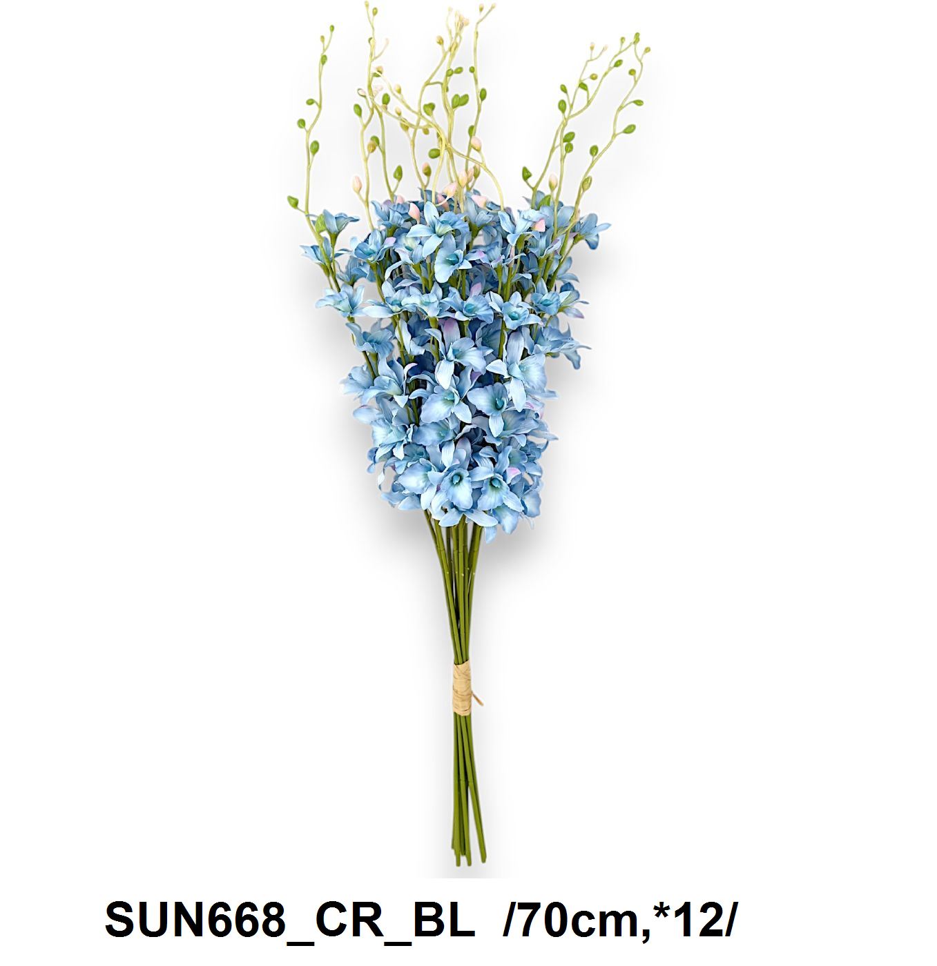 SUN668_CR_BL