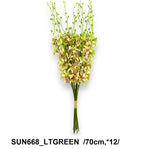 SUN668_LTGREEN