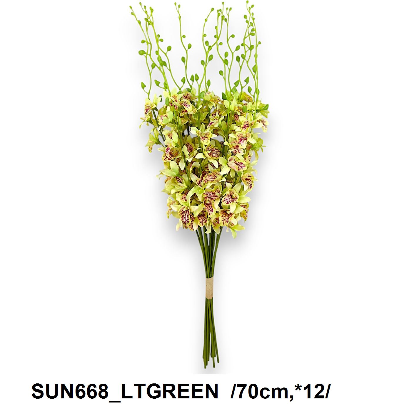 SUN668_LTGREEN
