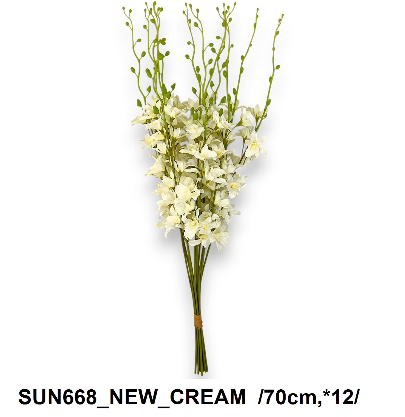 SUN668_NEW_CREAM