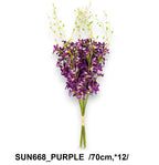 SUN668_PURPLE