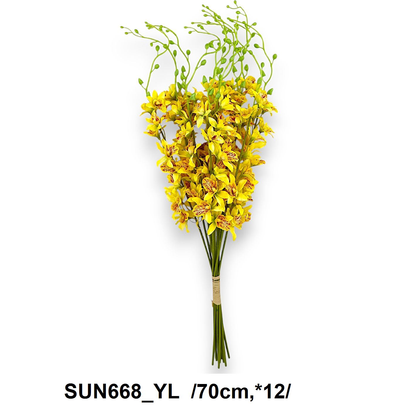 SUN668_YL