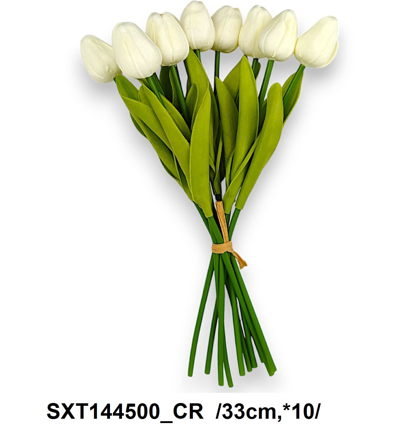 SXT144500_CR