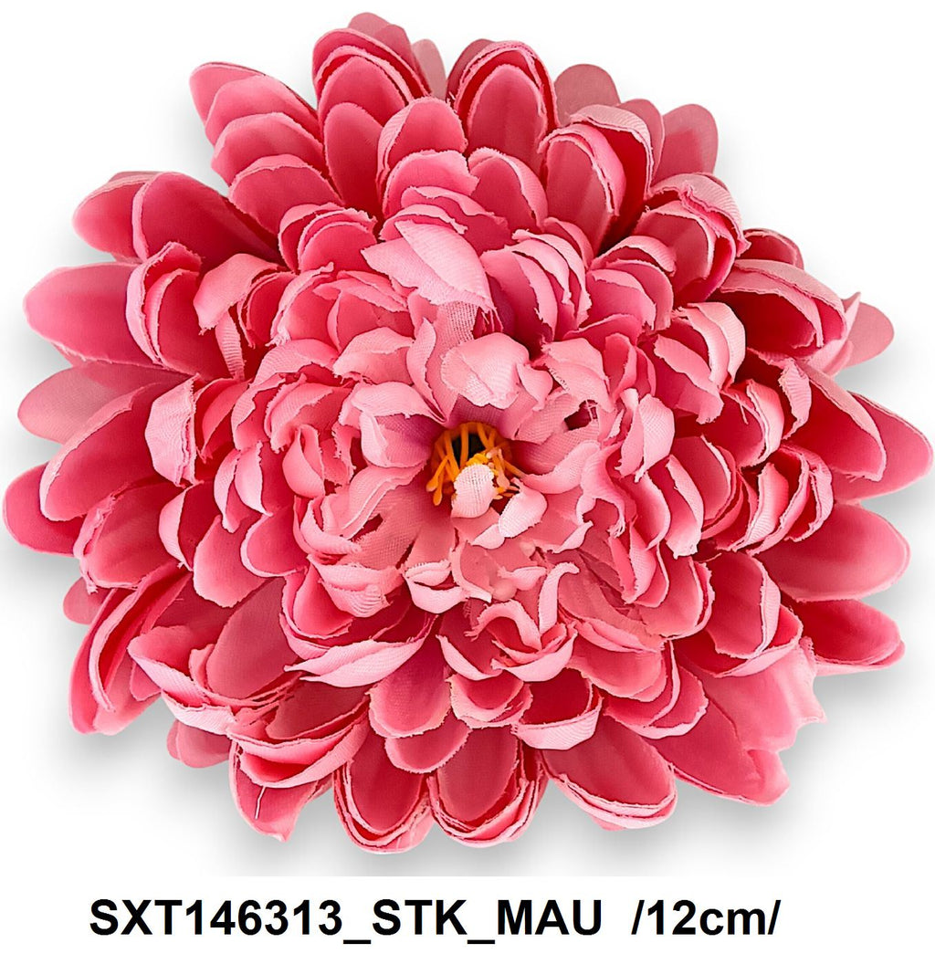 SXT146313_STK_MAU