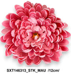 SXT146313_STK_MAU