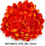 SXT146313_STK_OR