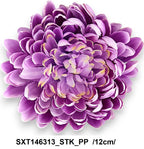 SXT146313_STK_PP