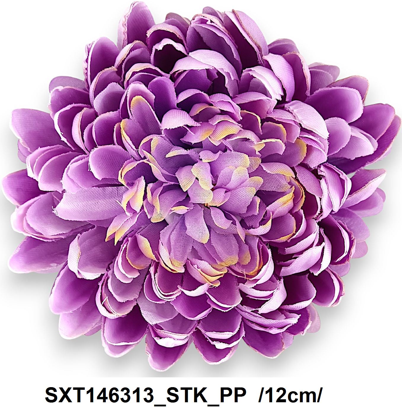 SXT146313_STK_PP