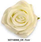 SXT146900_CR