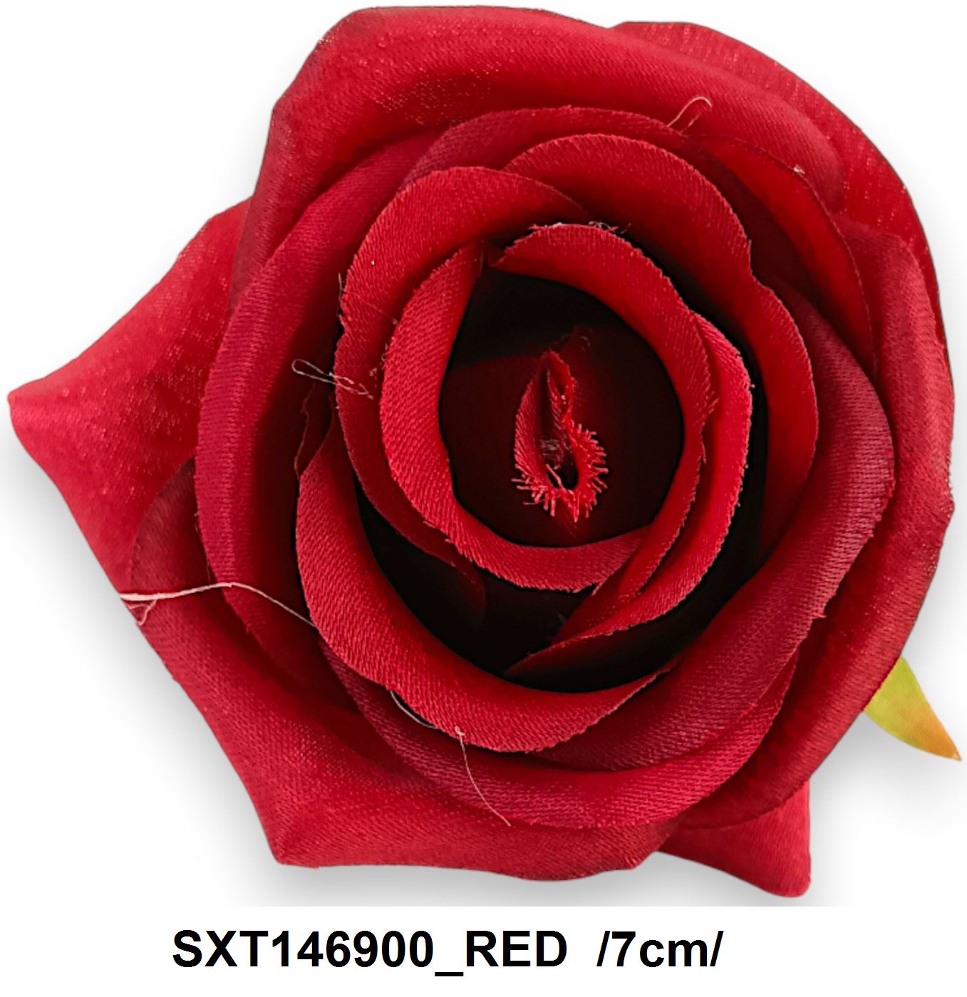 SXT146900_RED