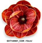 SXT149901_COR
