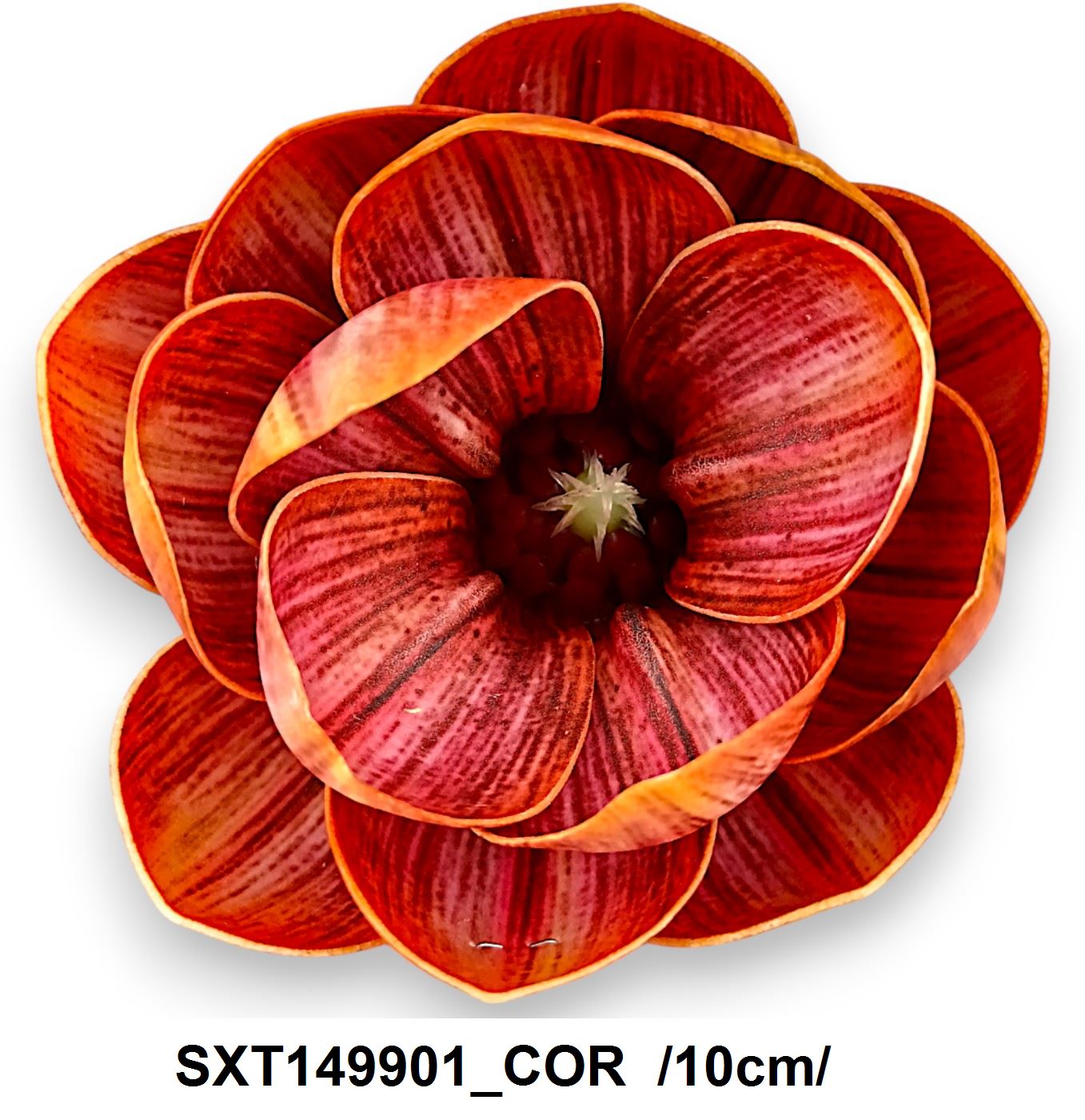 SXT149901_COR