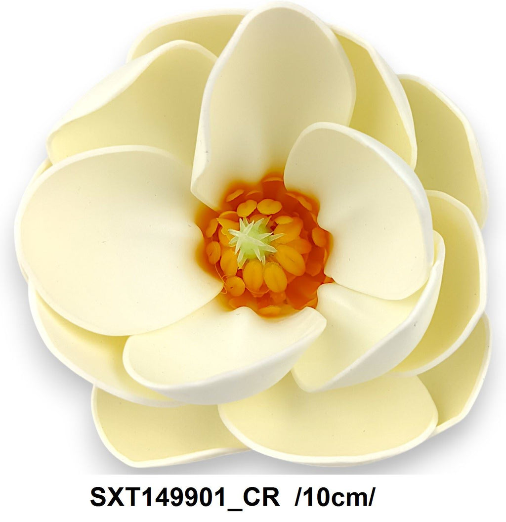SXT149901_CR