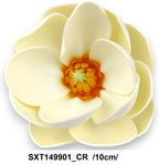 SXT149901_CR