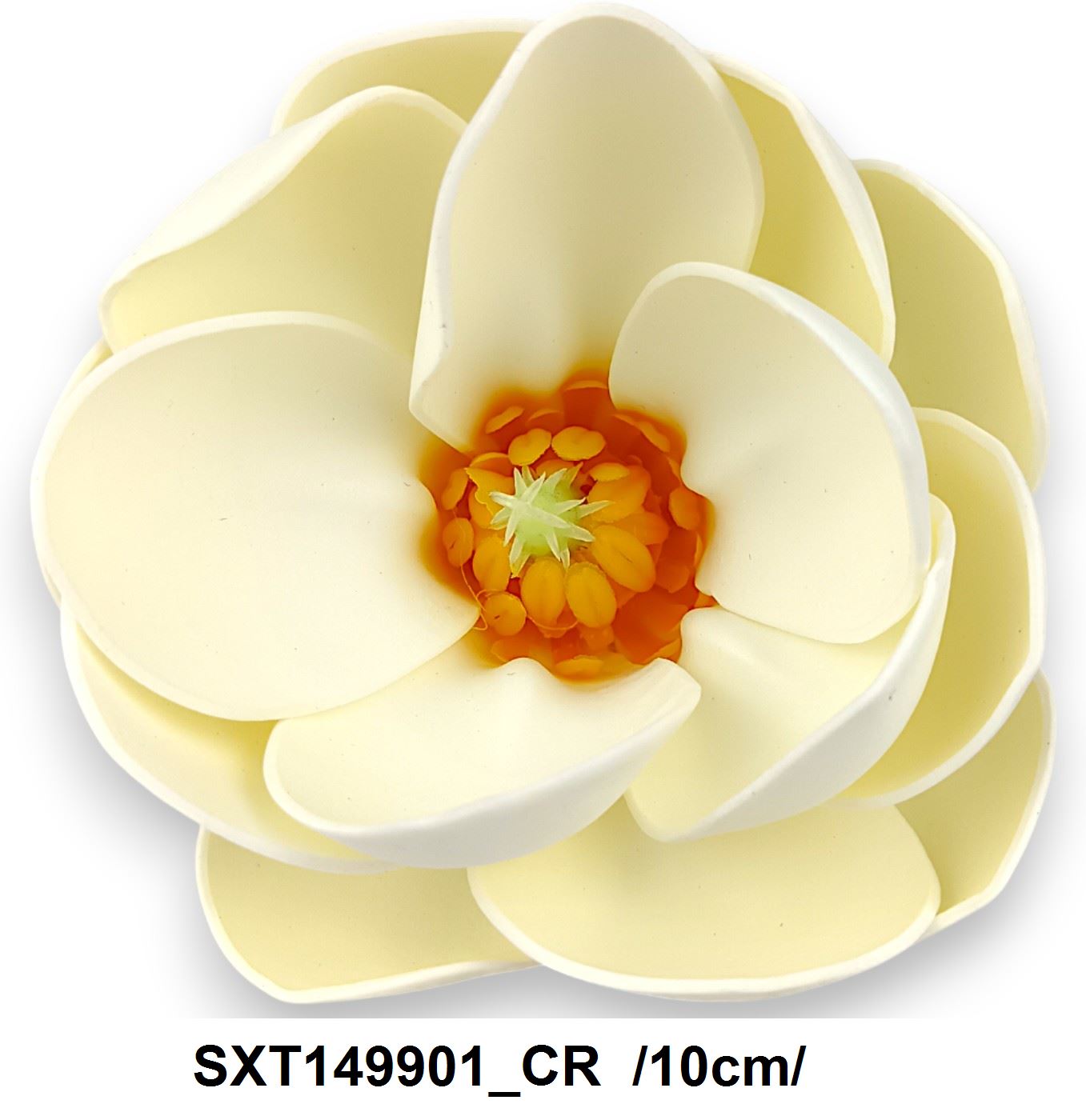 SXT149901_CR