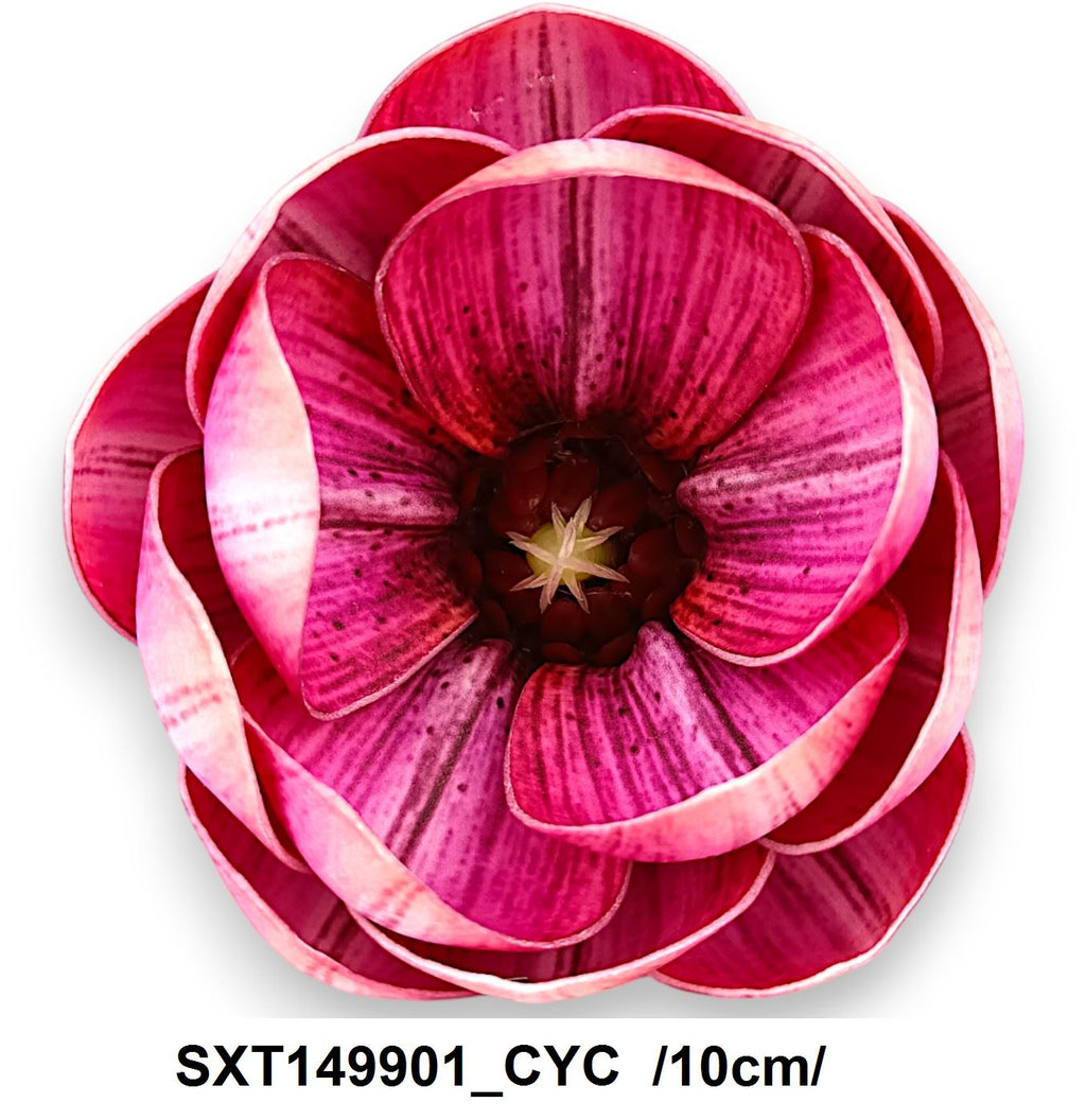 SXT149901_CYC