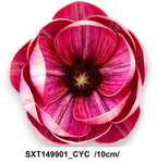 SXT149901_CYC