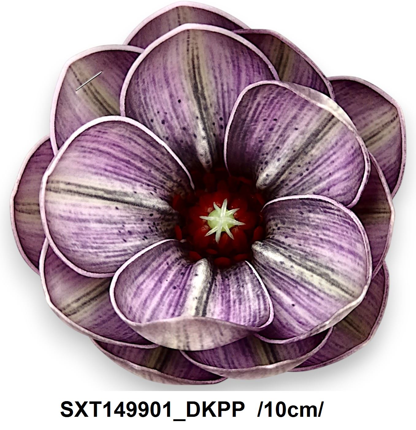SXT149901_DKPP
