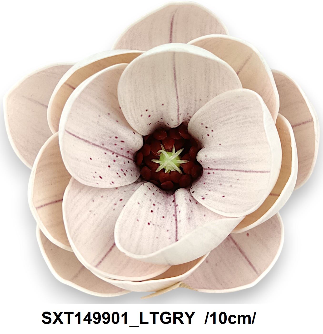 SXT149901_LTGRY