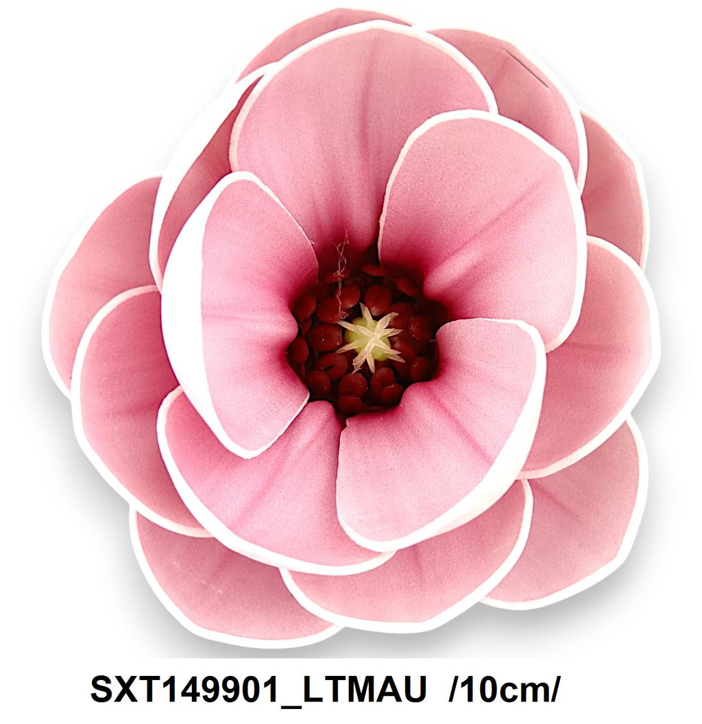 SXT149901_LTMAU