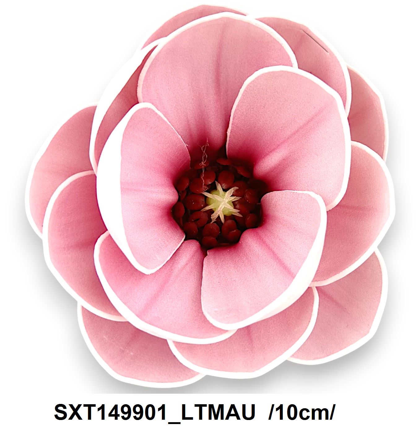 SXT149901_LTMAU
