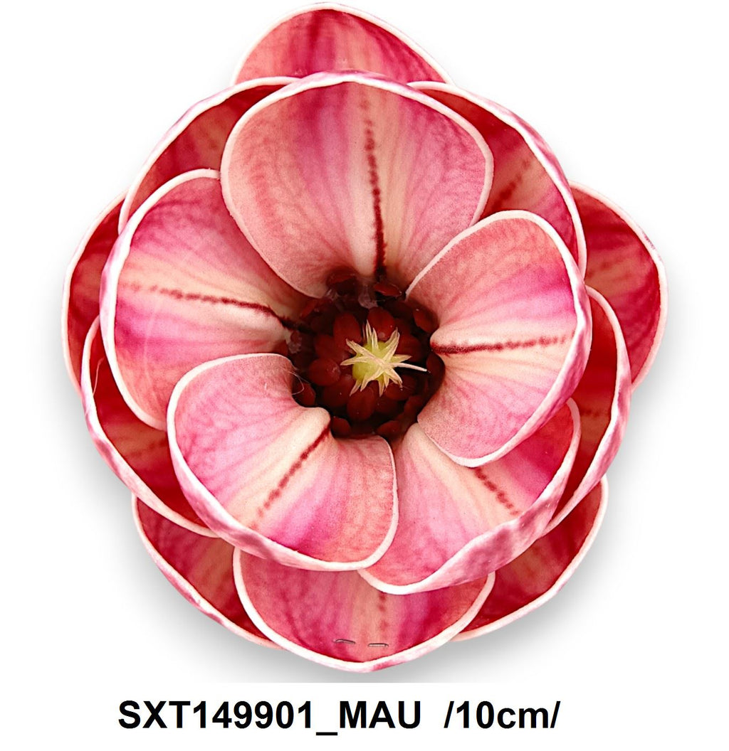 SXT149901_MAU