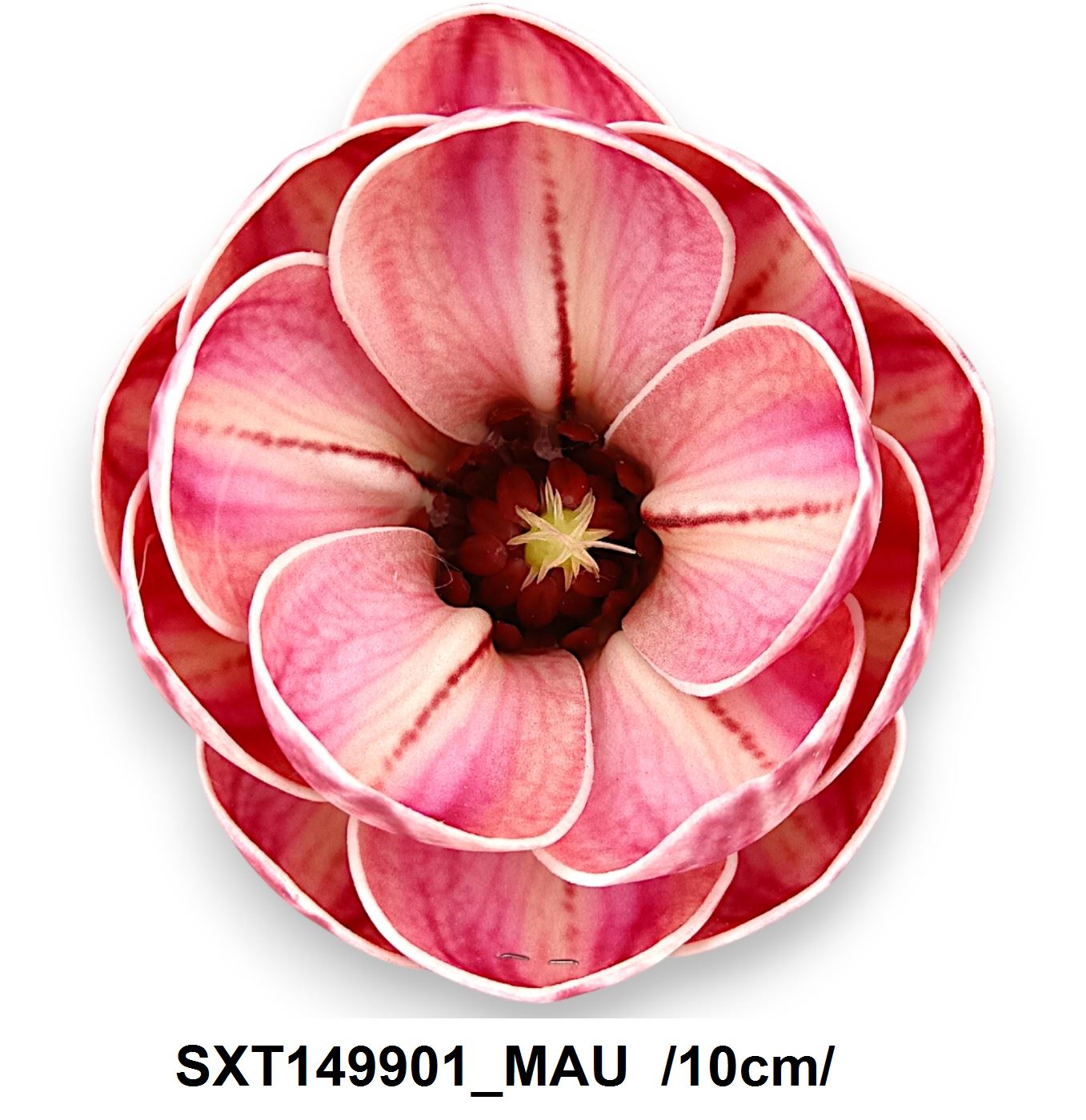 SXT149901_MAU