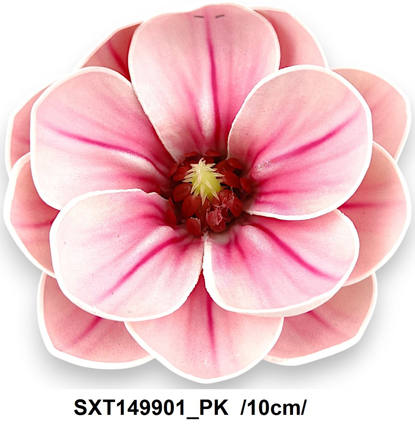 SXT149901_PK