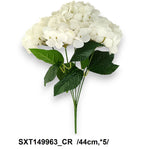 SXT149963_CR